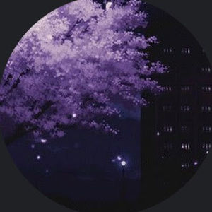 Meet your Posher, Quinn